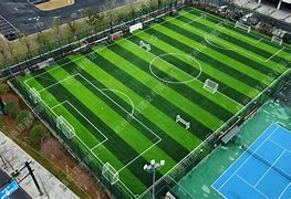 包含特色足球场地“绿色建造”标准在行业内逐步推广落实的词条