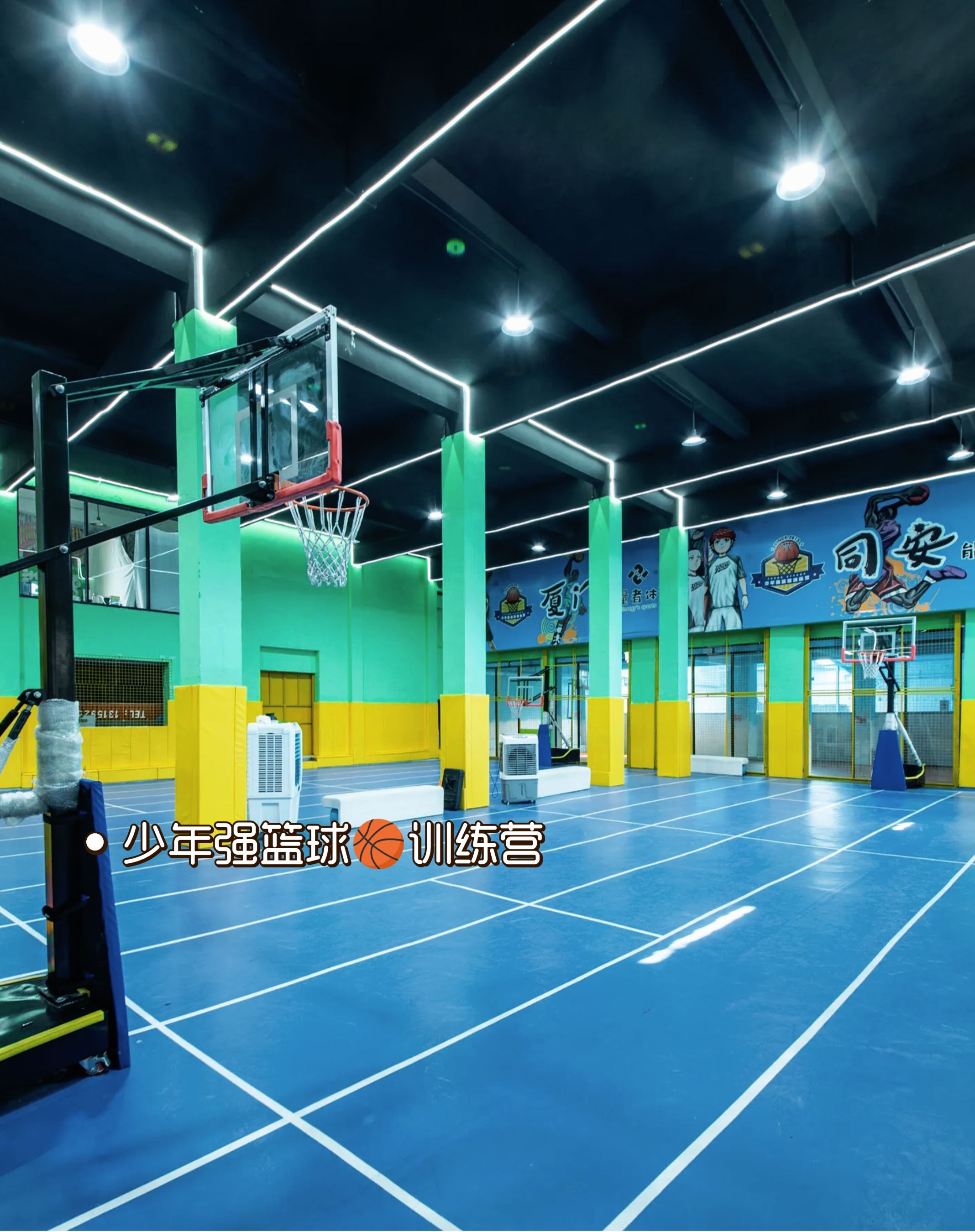 青少年篮球运动员加入“未来之星”培养计划，逐步实现职业化的简单介绍