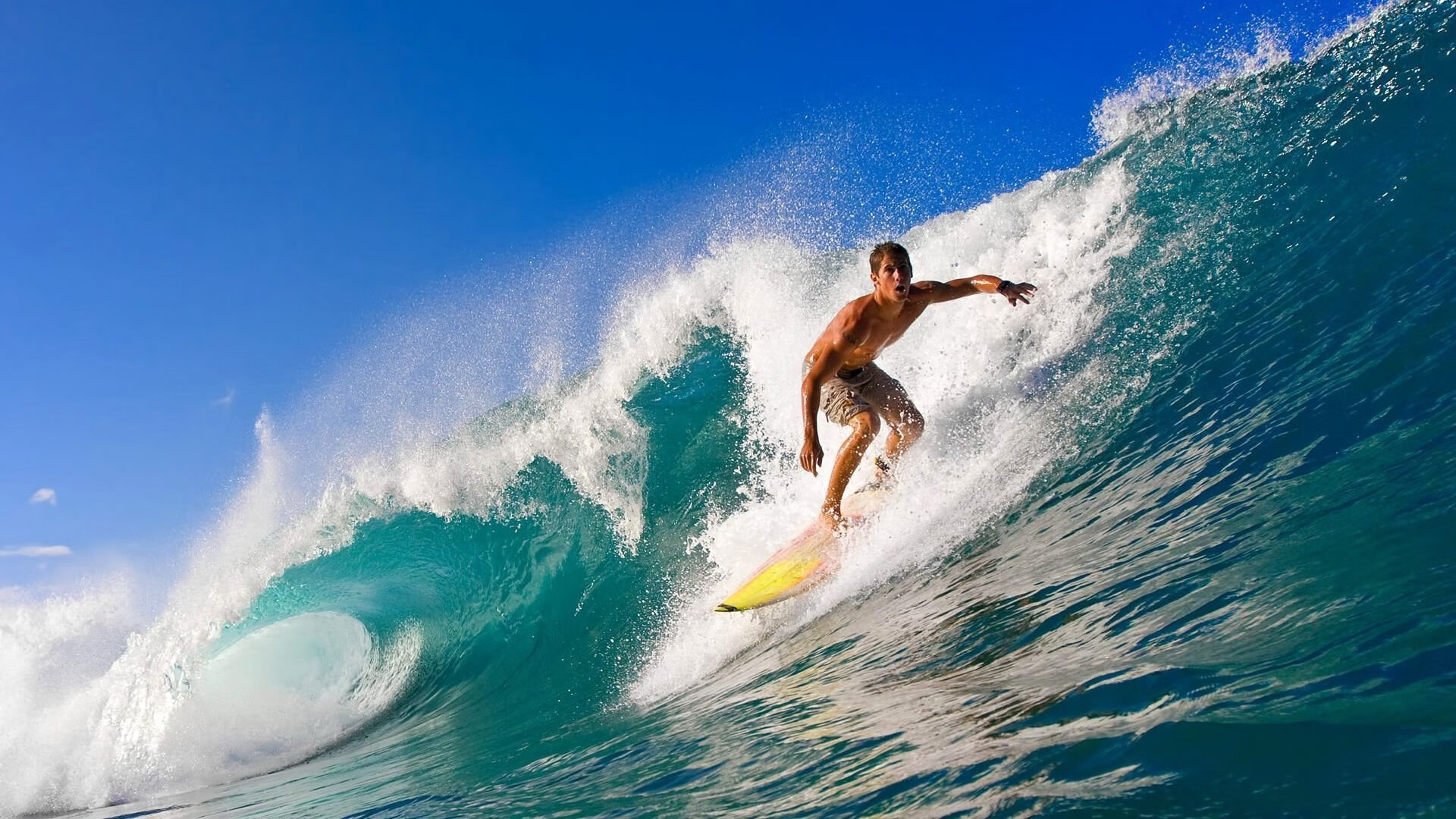 “德甲战火再起,争冠局势日益明朗”,德甲晋级